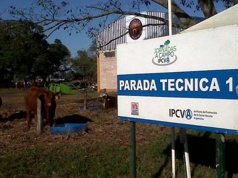 GANADERÍA DE PUNTA EN EL SUDESTE CHAQUEÑO