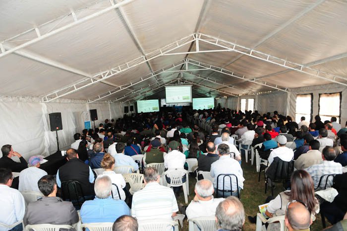 MÁS DE 700 ASISTENTES EN LA JORNADA  A CAMPO DEL IPCVA EN QUIM...