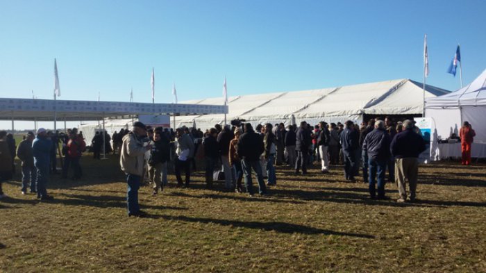 MÁS DE 400 PRODUCTORES SE DIERON CITA  EN LA JORNADA A CAMPO D...