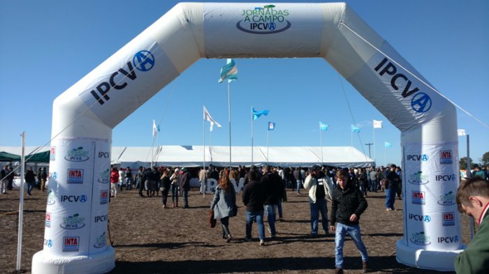 MÁS DE 700 PRODUCTORES EN LA JORNADA  A CAMPO DEL IPCVA EN ENT...