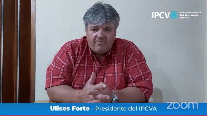 El IPCVA realizó su primer seminario virtual:<br>“NEA, la re...