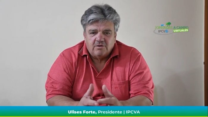 Reviva en video la jornada a campo virtual del IPCVA en Coronel...