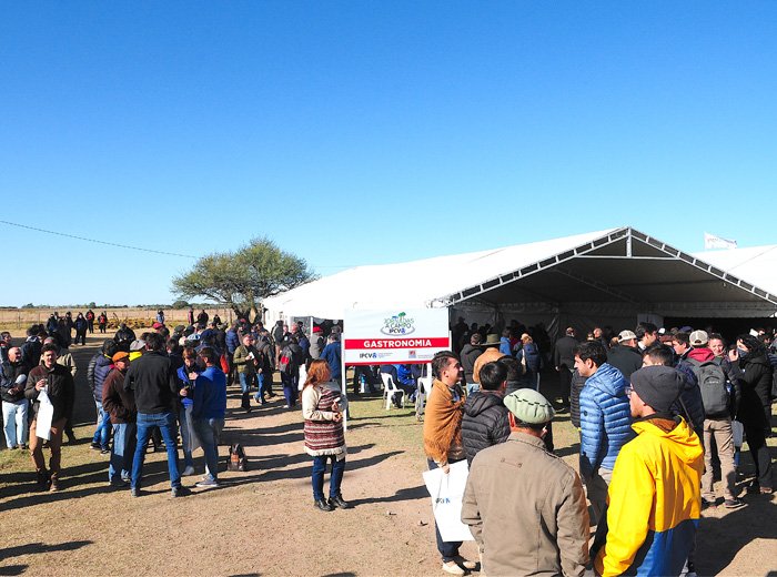 Reviva en video la jornada a campo en Villa Mercedes, San Luis