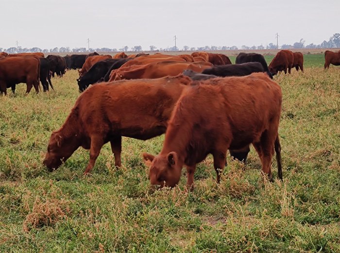 Reviva en video la jornada a campo en Venado Tuerto 