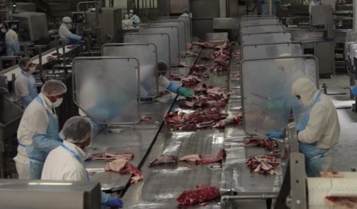 Carne argentina: exportaciones de julio