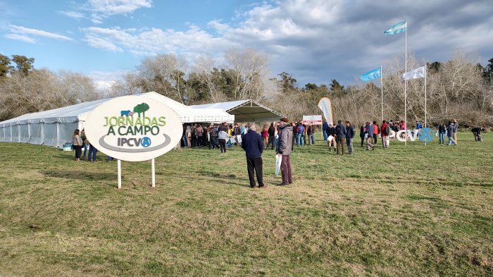 Reviva en video la jornada a Campo del IPCVA en Magdalena