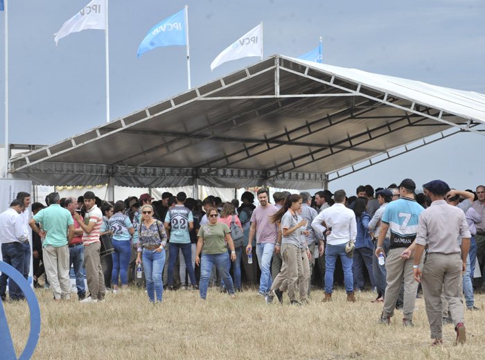 Reviva en video la última jornada a Campo del año del IPCVA