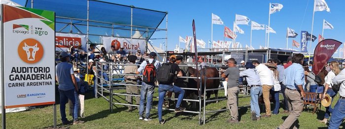 Expoagro 2023: La carne argentina mostrará toda su potencialid...