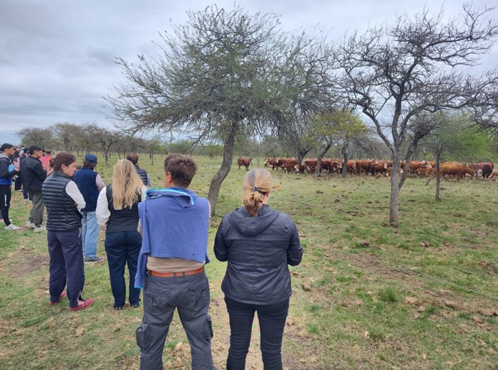 Reviva en video la Jornada a Campo del IPCVA en Hasenkamp, Entr...