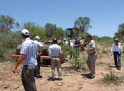 MAS DE 500 PRODUCTORES EN LA PRIMERA JORNADA A CAMPO IPCVA EN S...