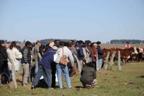 MAS DE 500 PRODUCTORES PARTICIPARON EN LA SEGUNDA JORNADA A CAM...